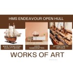 T275 HMS ENDEAVOUR OPEN HULL 
